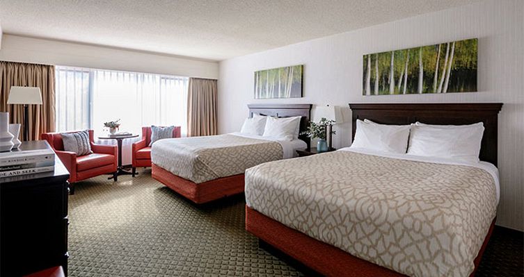 Spacious rooms and suites to choose from. Photo: Pursuit - image_3